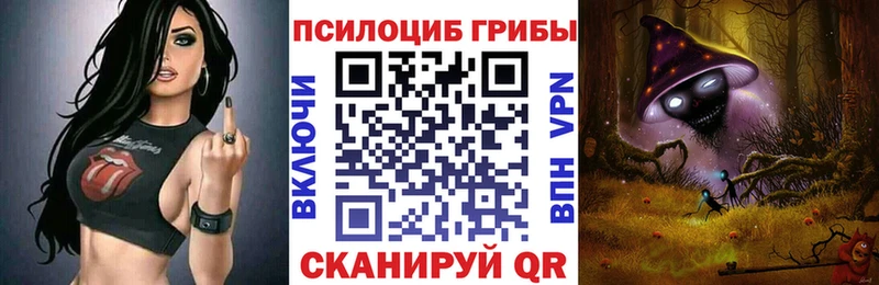Купить закладки  Михайлов  Галлюциногенные грибы мухоморы 
