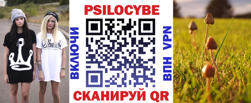 Галлюциногенные грибы Psilocybe Михайлов
