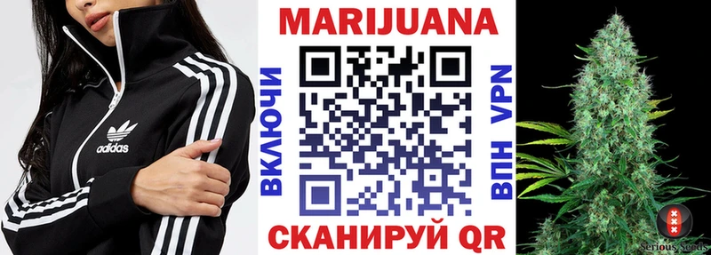 Купить Михайлов Конопля SATIVA & INDICA